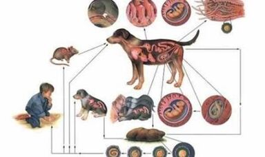 M/F erotik surat Moskvaning katta fohishalari